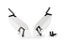 Puig Headlight Protector for BMW F900 XR (20-25)