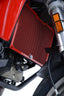 R&G Radiator Guard for Ducati Multistrada 950 (17-21)