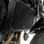 R&G Pro Radiator Guard for CFMOTO 650NK (22-23)