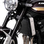 R&G Pro Radiator Guard for Kawasaki Z900 RS (21-26)