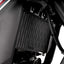 R&G Pro Radiator Guard for Kawasaki Ninja 400 (18-26)