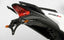 R&G Tail Tidy for Honda CBR250R (11-16)