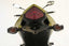 R&G Tail Tidy for Honda CB1000R (08-17)