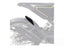 Puig Rear Mudguard Extender for Husqvarna Svartpilen 701 (19-20)