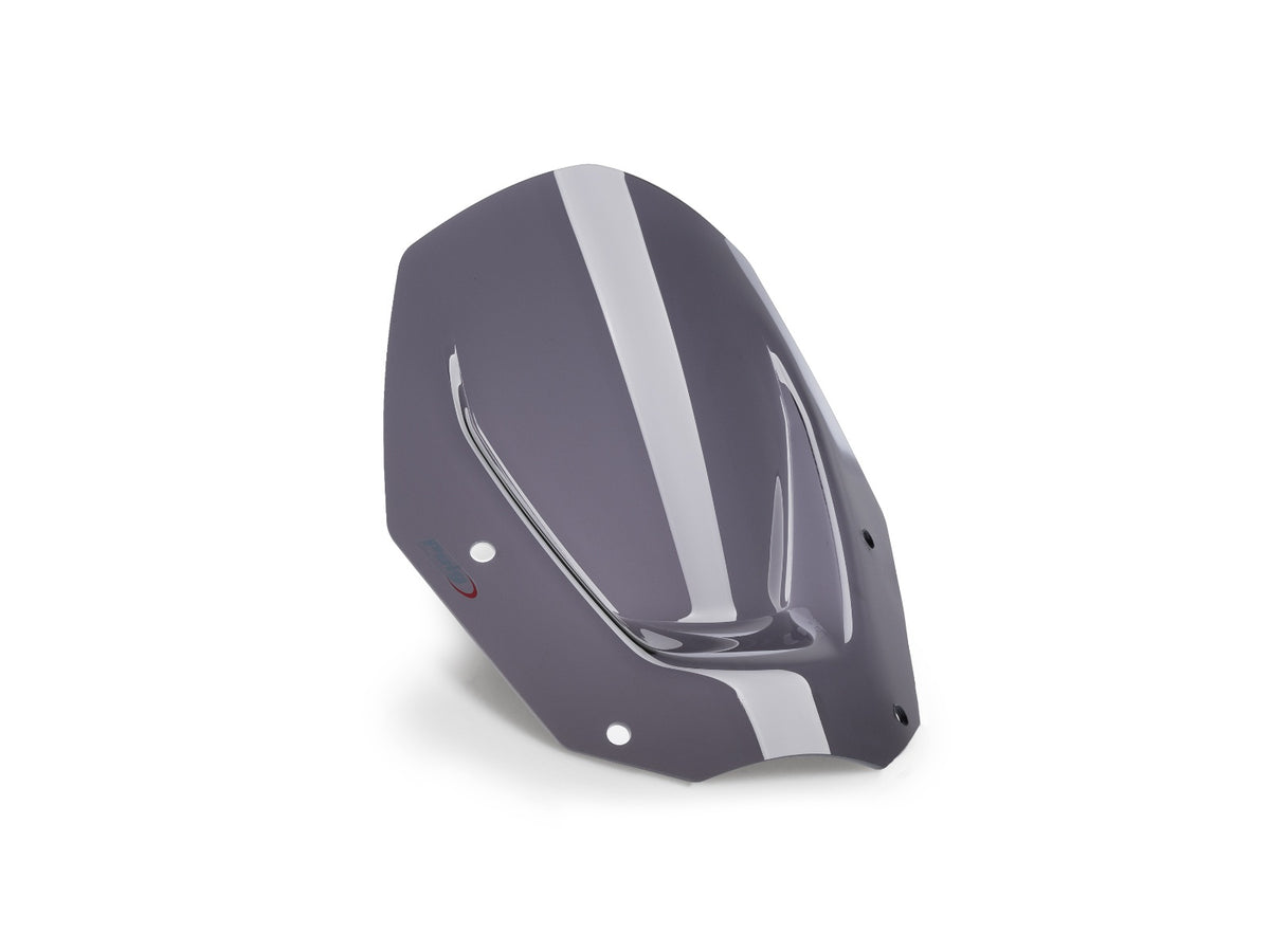 Puig Sport Screen for BMW R1300 GS (23-26)