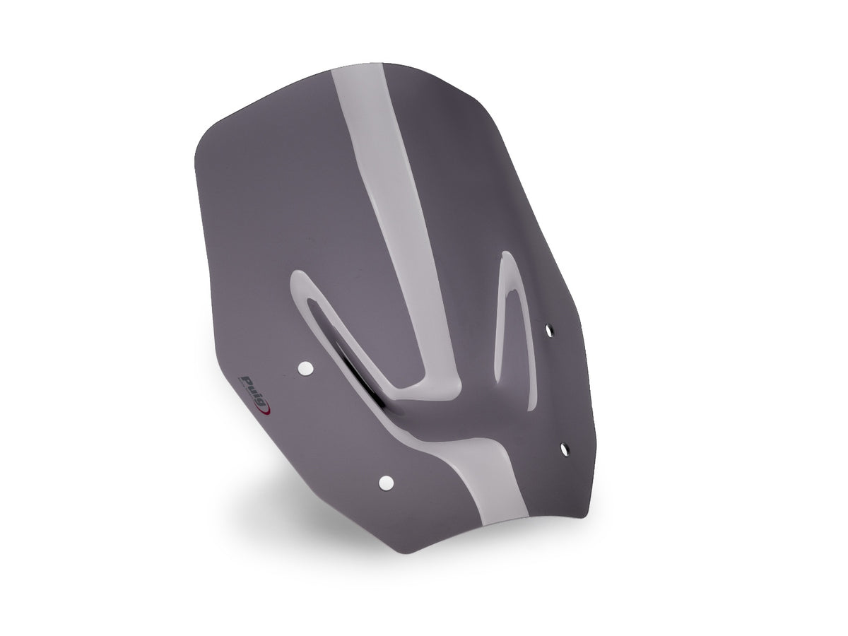 Puig Standard Screen for BMW R1300 GS (23-26)