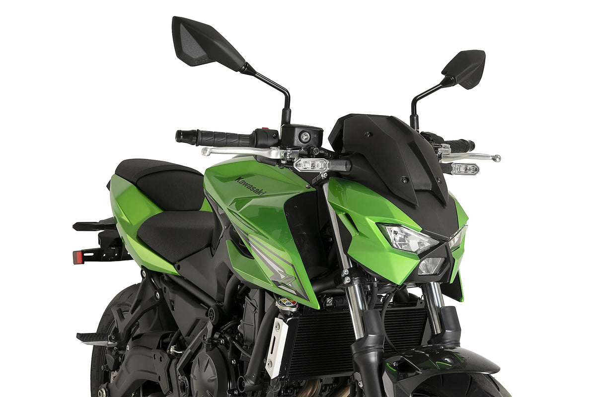 Kawasaki Z650S 2026 with original screen