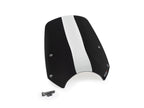 Puig New Generation Sport Screen for Indian FTR (19-22)