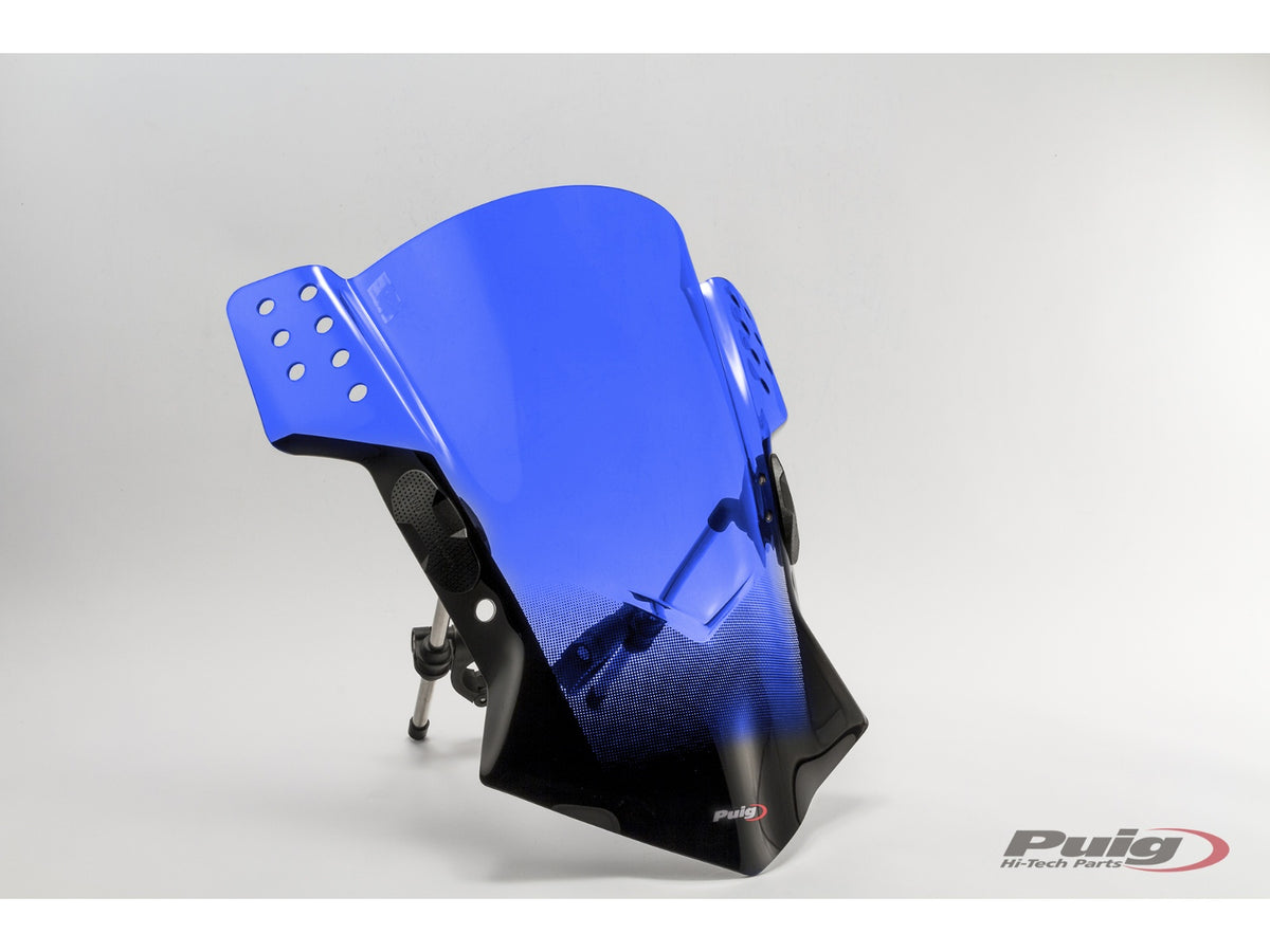 Puig Rafale Screen for Suzuki Inazuma 250 (13-16)