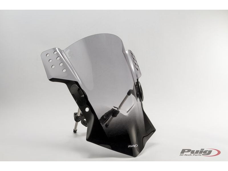 Puig Rafale Screen for Suzuki Inazuma 250 (13-16)