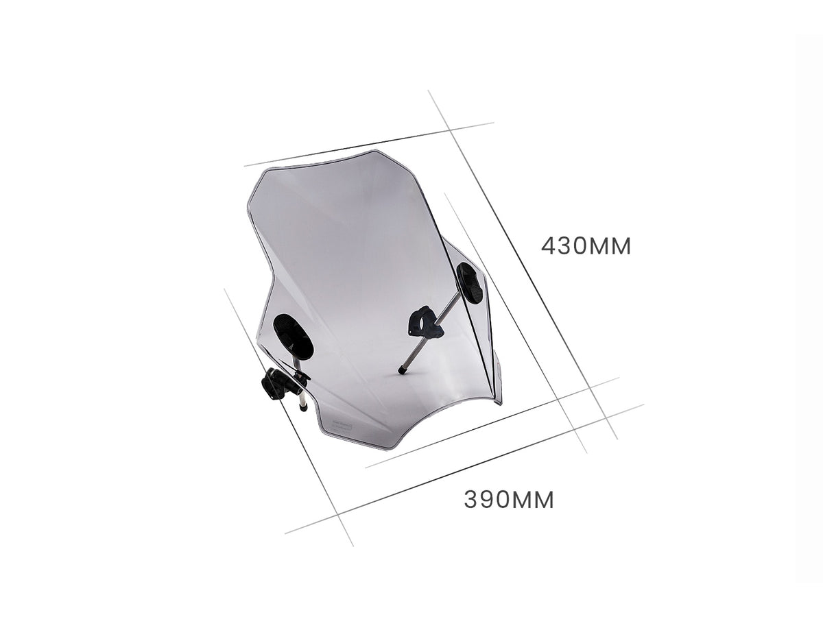 Puig Bat Screen In Clear for Suzuki B King (08-11) Main image