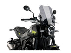Puig Bat Screen In Clear for Benelli Leoncino 250 (20-25)