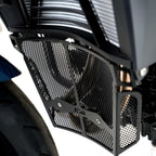 R&G Downpipe Grille Black for BMW F900 R (20-26)