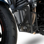 R&G Downpipe Grille Titanium for BMW F900 R (20-26)