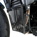 R&G Downpipe Grille Black for BMW F900 R (20-26)