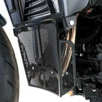 R&G Downpipe Grille Titanium for BMW F900 R (20-26)