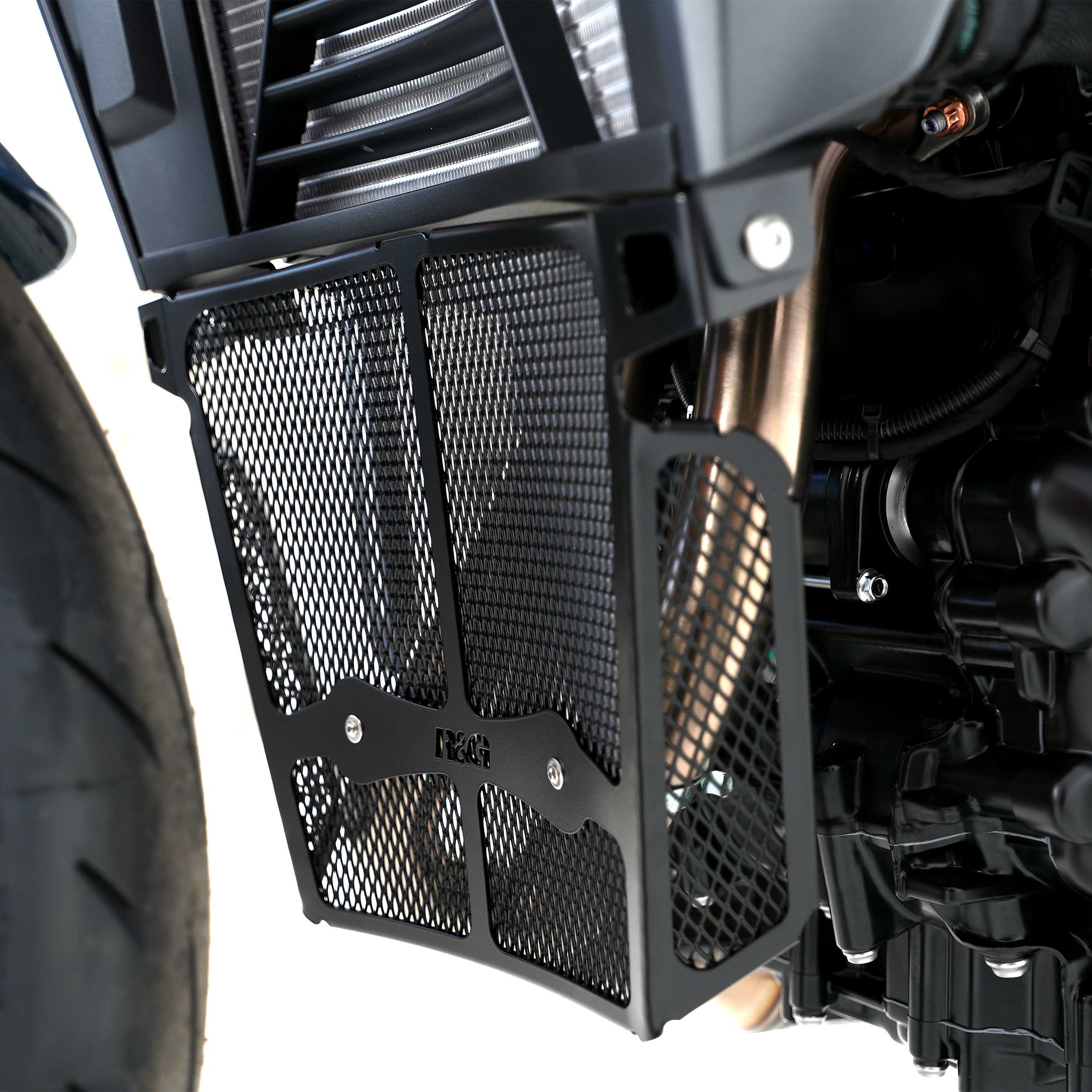 R&G Downpipe Grille Titanium for BMW F900 R (20-26)