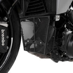 R&G Downpipe Grille Dark Blue for BMW F900 R (20-26)