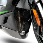 R&G Pro Downpipe Grille for Kawasaki Ninja 1000 SX (20-24)