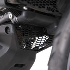 R&G Pro Downpipe Grille for Ducati Multistrada V2 (25-26)