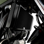 R&G Radiator Guard for Honda NC700S (12-14)