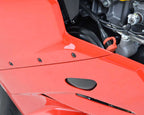 R&G Engine Cover for Ducati 1299 Panigale (15-17)