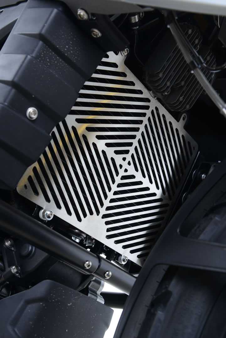 R&G Radiator Guard Stainless Steel for BMW G310 R (17-25)