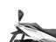 SHAD Backrest & Sissybar for Honda Forza 125 (15-26)