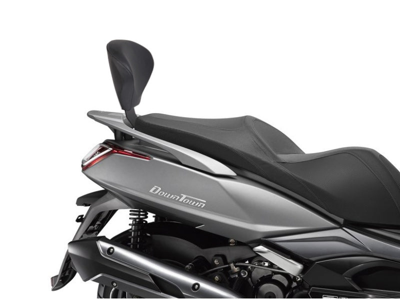 SHAD Backrest & Sissybar for Kymco Dink Street 125 (09-15)
