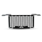 R&G Oil Cooler Guard for BMW S1000 XR (20-26)