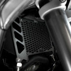 R&G Oil Cooler Guard for Ducati Multistrada V4 RS (25-26)