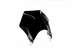 Puig Raptor Screen for Kawasaki Z900 RS SE (22-24)