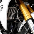 R&G Radiator Guard Stainless Steel for BMW R1250 R (19-21)