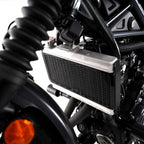 R&G Pro Radiator Guard for Honda CMX500 Rebel S (17-26)
