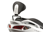 SHAD Backrest & Sissybar for Suzuki Burgman 200 (07-21)