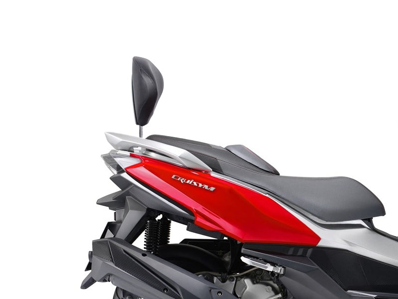 SHAD Backrest & Sissybar for Sym Joymax 125 (13-20)