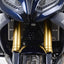 R&G Radiator Guard Stainless Steel for BMW R1250 RS (19-25)