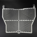 R&G Radiator Guard Stainless Steel for BMW S1000 R (17-20)