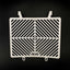 R&G Radiator Guard Stainless Steel for Husqvarna Svartpilen 701 (19-22)