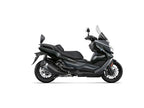 SHAD Backrest & Sissybar for BMW C400 GT (19-26)