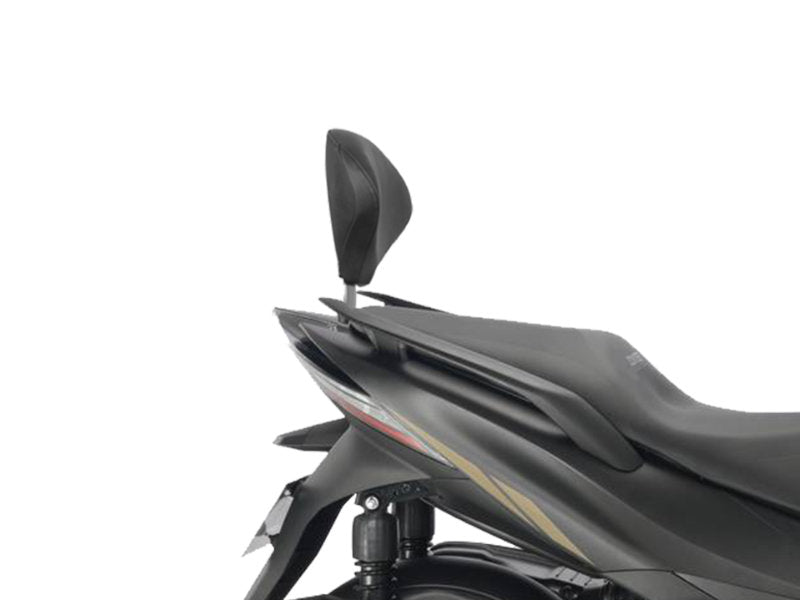 SHAD Backrest & Sissybar for Zontes ZT350-E (23-25)