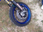 R&G Fork Protectors