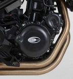 R&G Engine Cover for BMW F800 R (09-18)