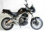 R&G Fork Protectors for Kawasaki Versys 650 (06-07)