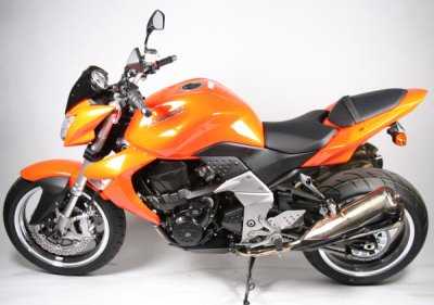 R&G Fork Protectors for Kawasaki Versys 1100 (25-26)