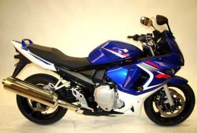 R&G Fork Protectors for Suzuki Bandit 650 (07-10)