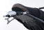R&G Tail Tidy for Yamaha XSR700 (16-21)