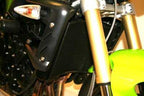 R&G Radiator Guard for Triumph Street Triple 675 R (08-12)