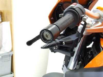 R&G Bar Ends for BMW F800 R (09-18)
