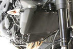 R&G Radiator Guard Titanium for Triumph Speed Triple 955 (06-09)